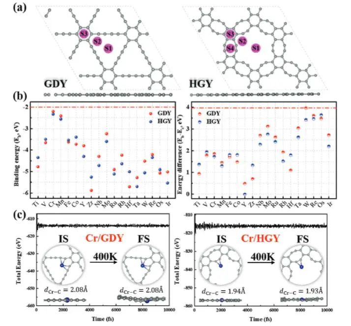 黃世萍/郭翔宇AFM：理論計算+機器學習，實現(xiàn)GDY和HGY負載的單原子催化劑的有效設計