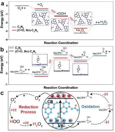 八篇頂刊速遞：Nature子刊、Angew.、JACS、AM、AFM、ACS Catalysis等！