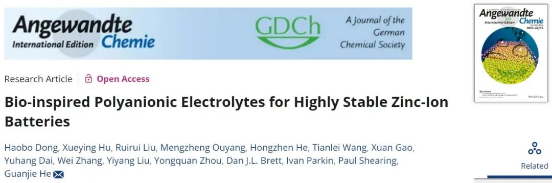 ?何冠杰Angew.：仿生聚陰離子電解質(zhì)用于高穩(wěn)定鋅離子電池