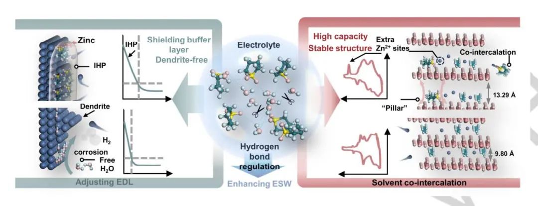 中南大學(xué)周江團(tuán)隊(duì)Angew.：三功能水合共晶電解質(zhì)增強(qiáng)水系鋅電池