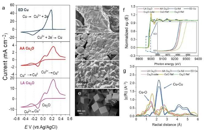 ACS Catalysis：添加劑輔助GDE上電沉積銅，實現(xiàn)選擇性CO2還原制備多碳產(chǎn)物