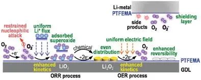 ?孫世剛/喬羽/王欣AEM：多功能聚合物添加劑提高鋰氧電池的反應(yīng)動(dòng)力學(xué)和可逆性
