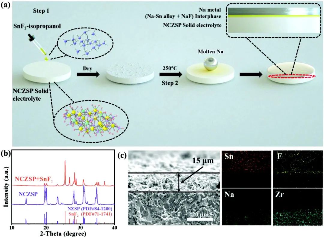 周震/唐賓AFM：SnF2誘導(dǎo)復(fù)合導(dǎo)電層，助力低阻抗固態(tài)鈉電池