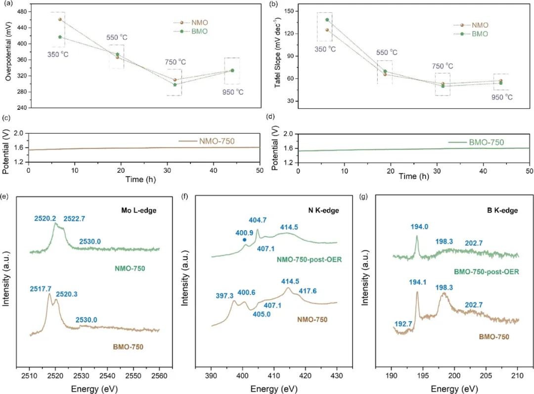 梅俊/廖婷/孫子其ACS Catalysis：硼/氮誘導的表面環(huán)境調節(jié)有利于實現高效析氧