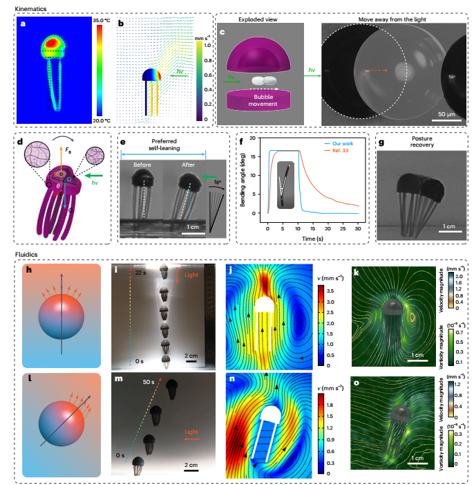 有趣！上交最新Nature Nanotechnology，會自己“決策”的水凝膠！