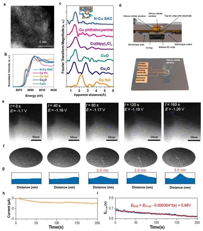 八篇頂刊速遞：Nature子刊、Angew.、JACS、AM、AFM、ACS Catalysis等！