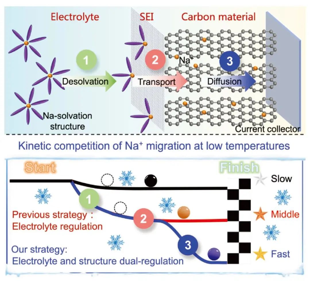 宋云/陳敏/鄭時有AEM：增強超低溫鈉離子混合電容器負(fù)極側(cè)Na+遷移動力學(xué)