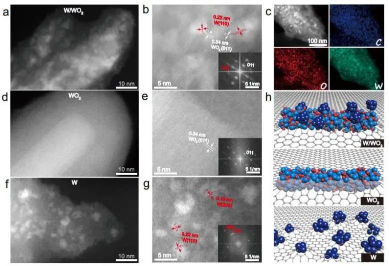 催化頂刊集錦：Nature子刊、Angew.、EES、AFM、ACS Nano等成果