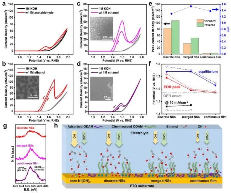 催化頂刊集錦：Nature子刊、Angew.、EES、AFM、ACS Nano等成果