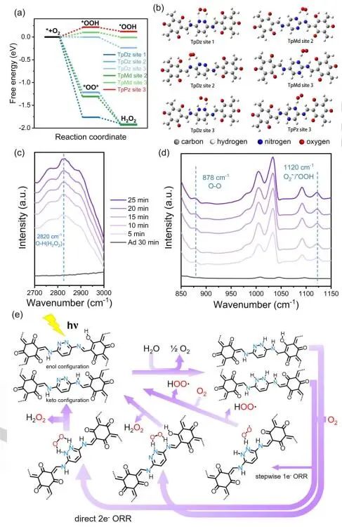 南京大學(xué)襲鍇Angew.：調(diào)控COFs的相對氮位置助力光合成H2O2