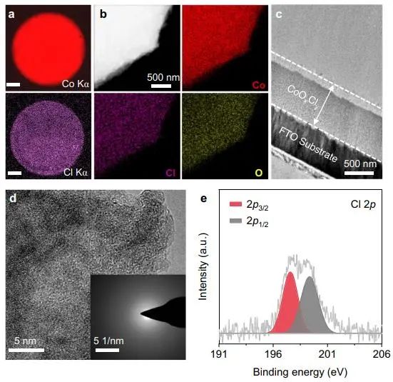 催化頂刊集錦：Nature子刊、Angew.、EES、AFM、ACS Nano等成果