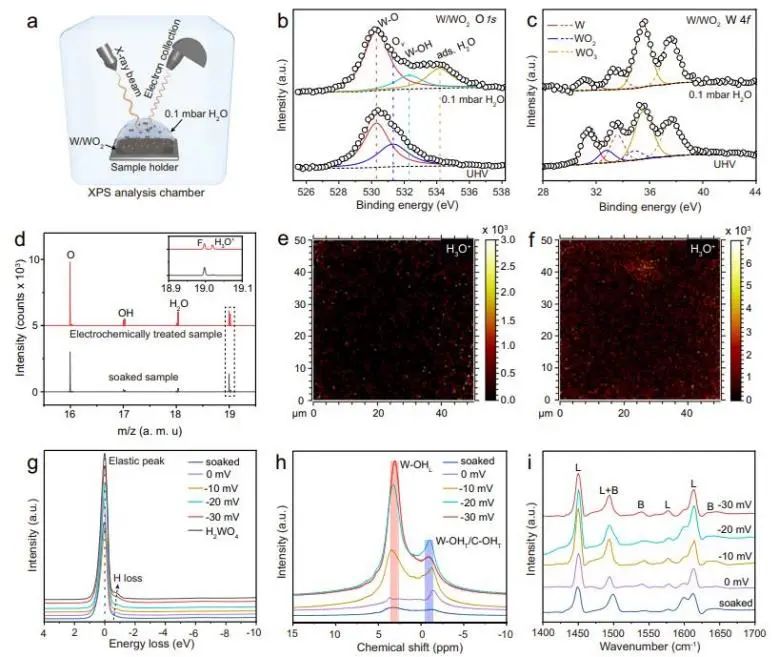 催化頂刊集錦：Nature子刊、Angew.、EES、AFM、ACS Nano等成果