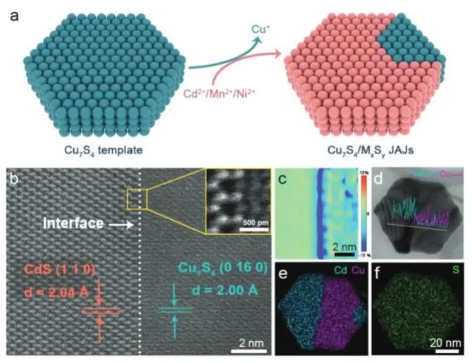 催化頂刊集錦：Nature子刊、Angew.、EES、AFM、ACS Nano等成果