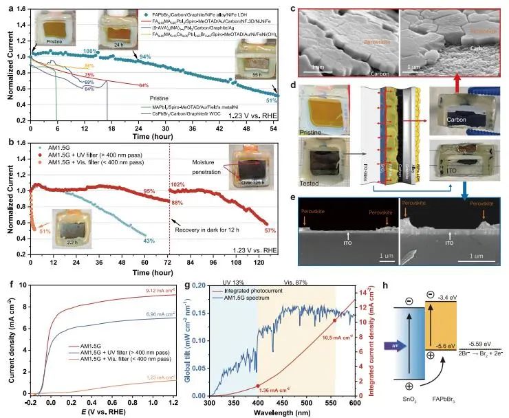 催化頂刊集錦：JACS、Nature子刊、Angew.、ACS Catal.、AFM、ACS Nano等成果