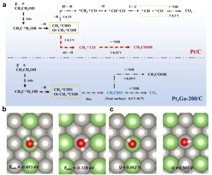 催化頂刊集錦：JACS、Angew.、Joule、AM、AFM、ACS Catal.、Nano Lett.等