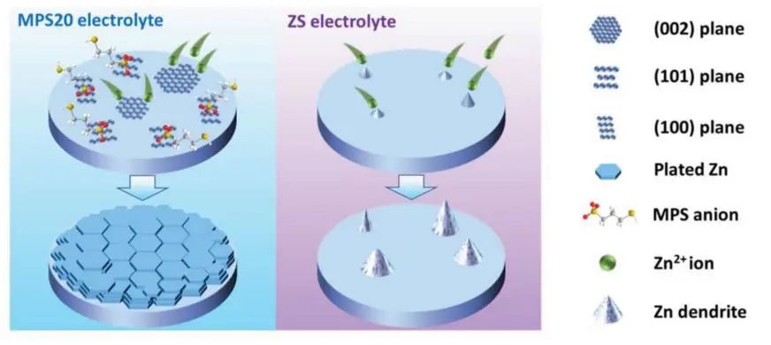 王成新/楊功政AEM：電解質(zhì)添加劑的界面調(diào)節(jié)促進高放電深度下穩(wěn)定的（002）織構鋅負極