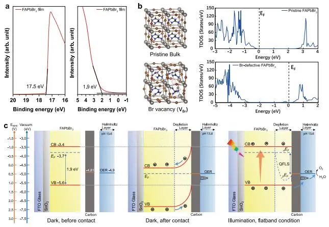 催化頂刊集錦：JACS、Nature子刊、Angew.、ACS Catal.、AFM、ACS Nano等成果