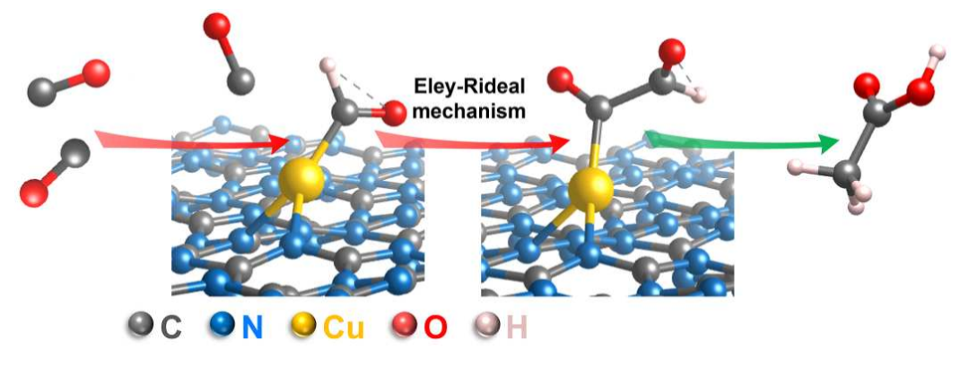 重磅！Science子刊、JACS共同聚焦單原子Cu催化劑！