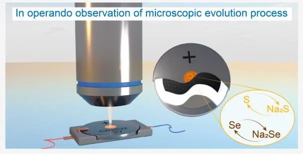 張治安團隊Nano Letters：使用光學顯微鏡直接觀察室溫鈉硫/硒電池的演化過程