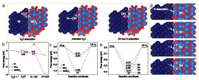 催化頂刊集錦：Nature子刊、Angew.、EES、AFM、ACS Nano等成果