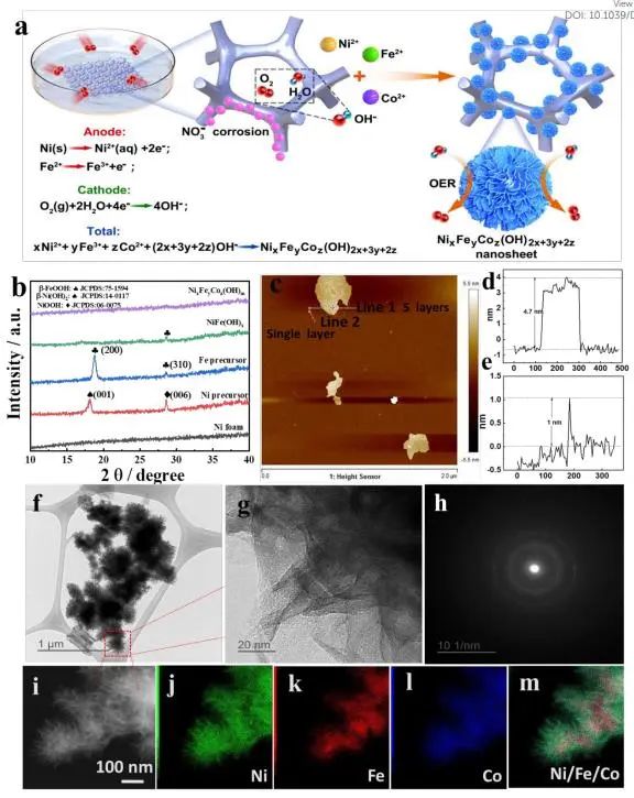 催化頂刊集錦：Nature子刊、Angew.、EES、AFM、ACS Nano等成果