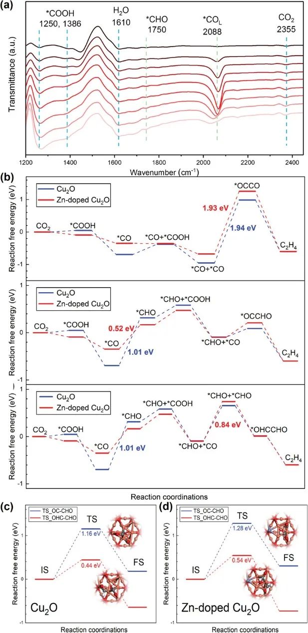 ?范科/孫立成Adv. Sci.：Cu2O-Zn高效電化學(xué)還原CO2為C2+產(chǎn)物