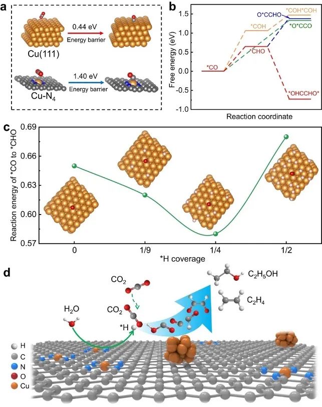 韓布興院士等一周兩篇頂刊！連發(fā)JACS、Nature子刊！