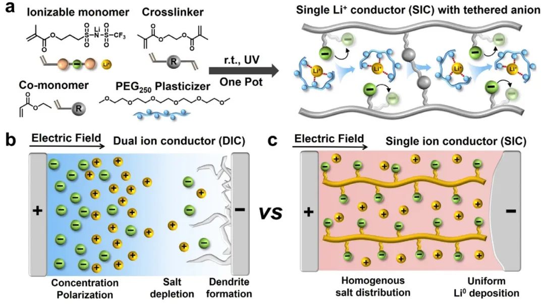 ?忻獲麟Angew.：單鋰離子導電聚電解質(zhì)，助力鋰金屬電池4500次循環(huán)！