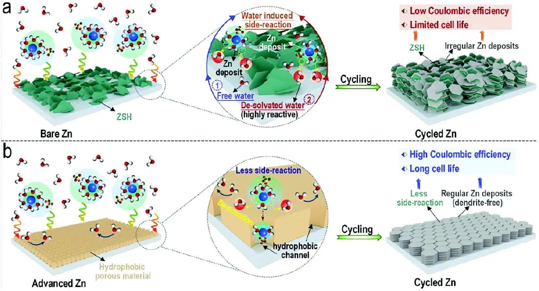 周豪慎/潘安強/常智Adv. Sci.：具有剛性亞納米通道的MOF助力高穩(wěn)定水系鋅金屬電池