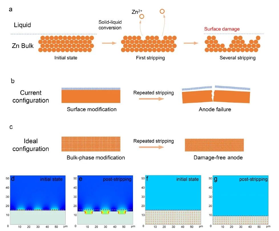 王海燕/張旗Angew.：提出表面損傷概念，解釋鋅金屬負極的不均勻剝離！
