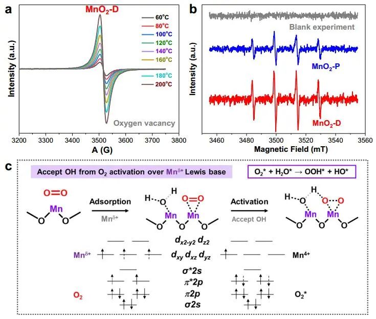 顏寧/馮翔/劉熠斌Nature子刊：MnO2-D催化多元醇/糖級聯(lián)氧化制甲酸