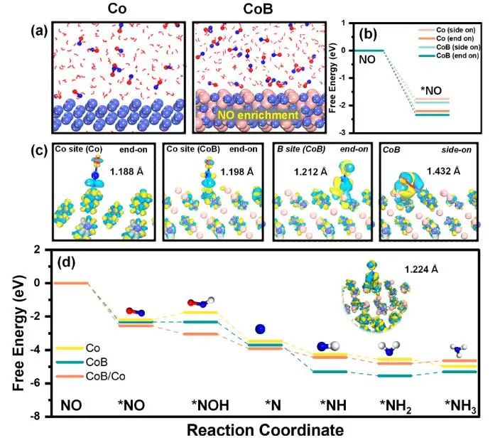 催化頂刊集錦：JACS、Angew.、Joule、AM、AFM、ACS Catal.、Nano Lett.等