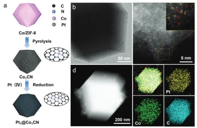 催化頂刊速遞：JACS、Nature子刊、Angew.、AFM、ACS Catalysis、Nano Lett.等成果