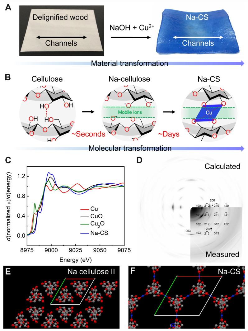 胡良兵&李恬，最新Science子刊！