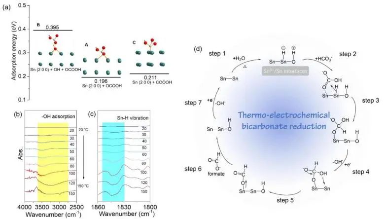 ?上交鐘恒課題組ACS Catalysis：熱電化學誘導動態(tài)Snδ+/Sn界面，用于直接碳酸氫鹽還原生成甲酸鹽