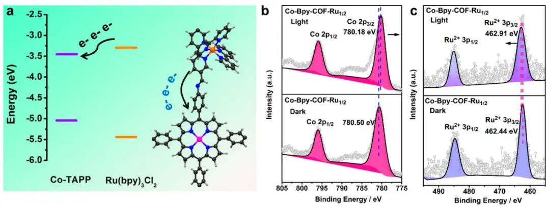 【計(jì)算+實(shí)驗(yàn)】頂刊速遞：4篇Angew.?、Chem、JACS、Nature子刊、ACS Catalysis等各一篇！