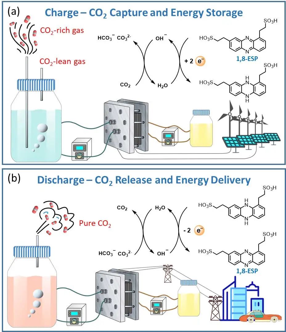 西湖大學(xué)/哈佛/杭州高等研究院，最新Nature Energy!