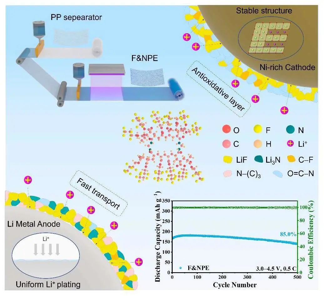 杜麗/劉述梅AM：雙強化穩(wěn)定界面的可擴展聚合物電解質助力4.5 V鋰金屬電池
