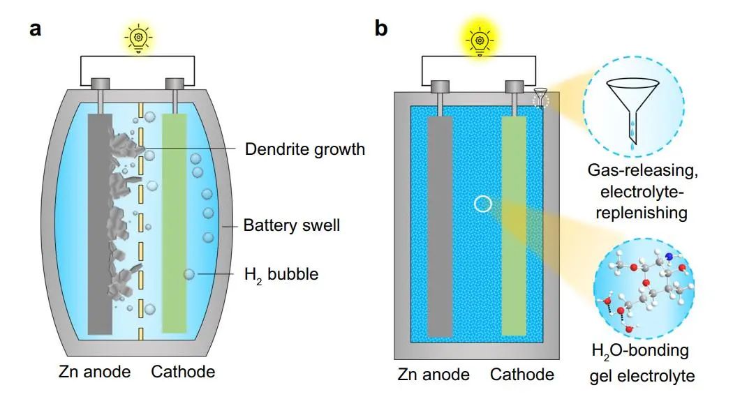 楊全紅/楊春鵬Nature子刊：水性凝膠電解質(zhì)生產(chǎn)釋氣電解質(zhì)補(bǔ)充Ah規(guī)模的鋅金屬軟包電池