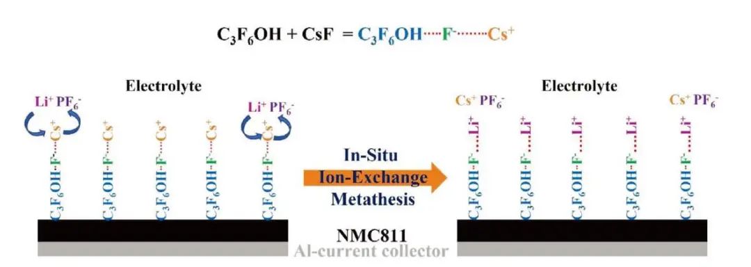 戴勝團(tuán)隊(duì)AFM：離子交換法助力NCM811穩(wěn)定界面的構(gòu)建