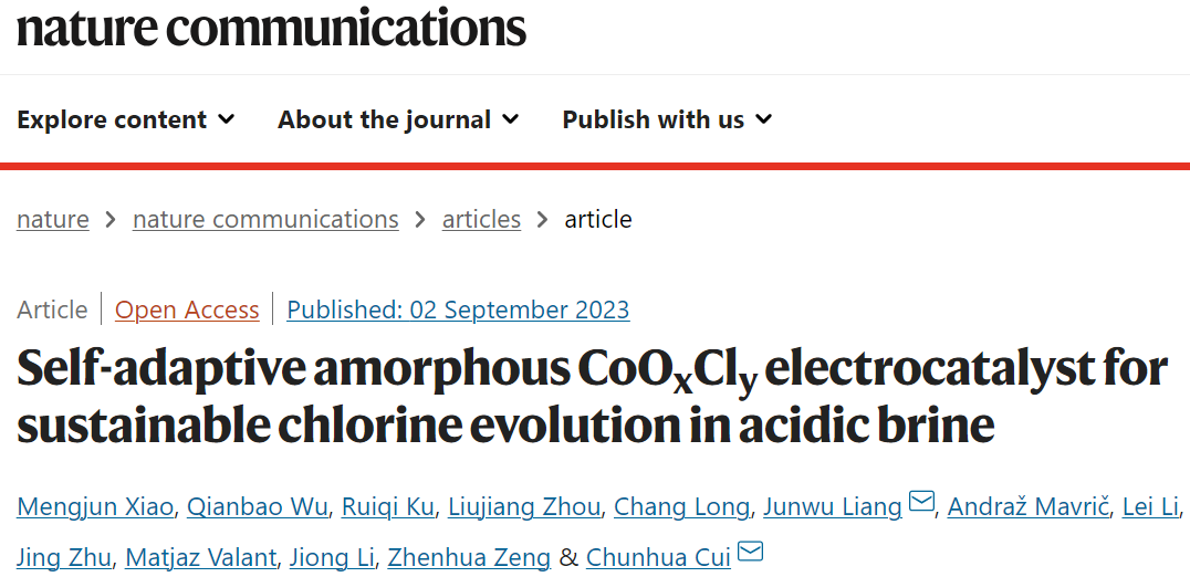 ?電子科大Nature子刊：CoOxCly電催化劑助力酸性鹽水中可持續(xù)析氯