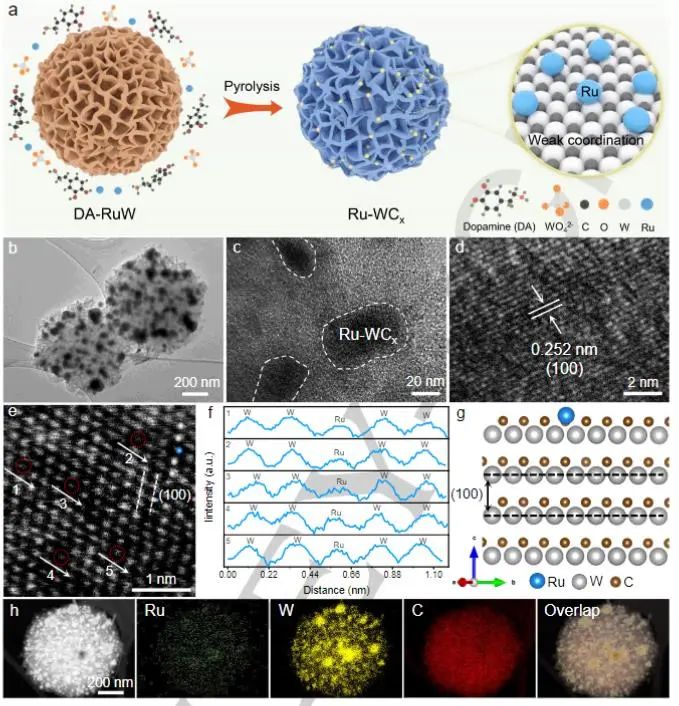 催化頂刊集錦：Nature子刊、Angew.、EES、AFM、ACS Nano等成果