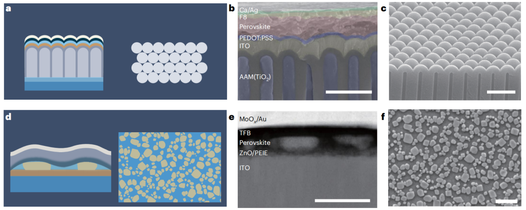 浙大趙保丹/狄大衛(wèi)重磅Nature Nanotechnology！