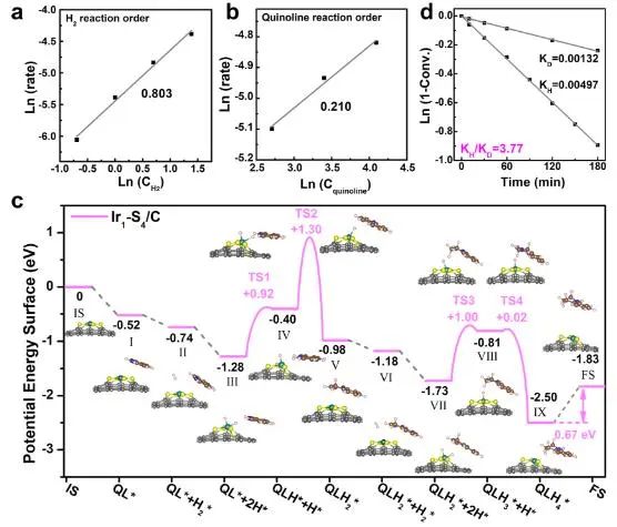 曹昌燕/宋衛(wèi)國(guó)/王陽剛ACS Catalysis：充分暴露的Ir團(tuán)簇立大功，實(shí)現(xiàn)高效催化N-雜環(huán)芳烴加氫