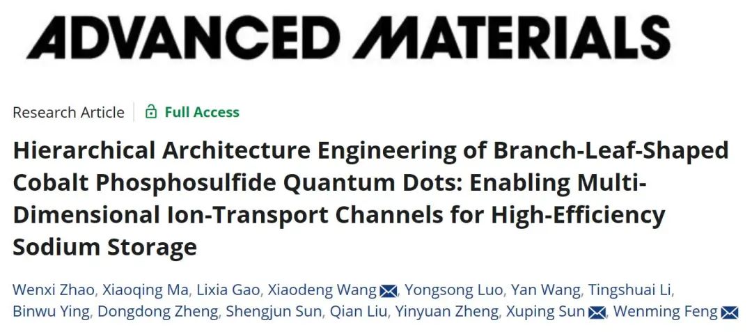 ?三單位聯(lián)合AM：枝狀磷硫化鈷量子點(diǎn)實(shí)現(xiàn)高效鈉存儲(chǔ)