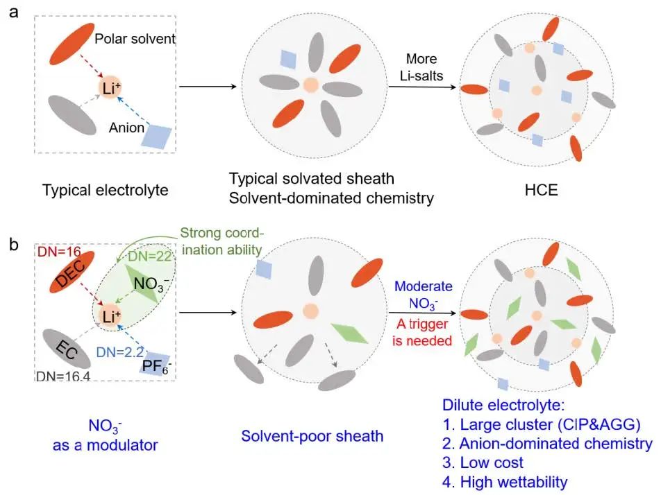 付永柱/李翔EnSM：通過富含陰離子的稀電解液實(shí)現(xiàn)鋰金屬電池的穩(wěn)定界面