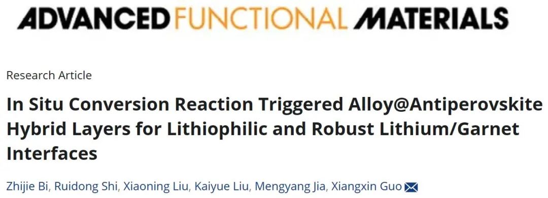 ?青大郭向欣AFM：原位轉(zhuǎn)化反應(yīng)引發(fā)親鋰合金@反鈣缽礦雜化層和穩(wěn)定的理/石榴石界面