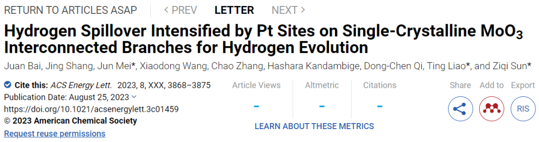 孫子其/廖婷ACS Energy Letters：s-MoO3助力HER中的氫溢出