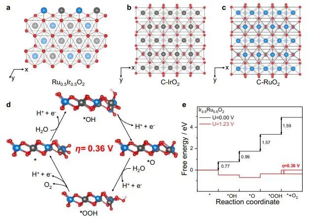 催化頂刊集錦：Nature子刊、Angew.、EES、AFM、ACS Nano等成果