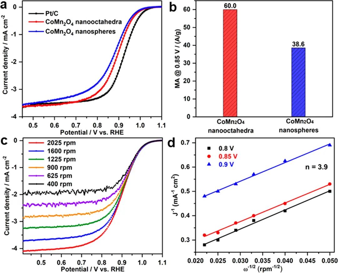 催化頂刊集錦：Angew.、AFM、Adv. Sci.、ACS Energy Lett.、ACS Catal.、CEJ等！